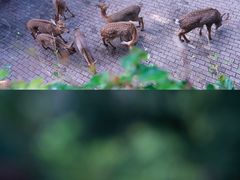-台州府城(江南长城)