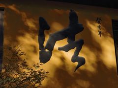 -普陀山风景名胜区-法雨禅寺