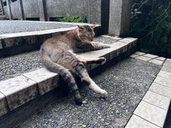 -广州市白云山风景名胜区