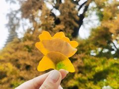 -北京石刻艺术博物馆(五塔寺)