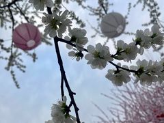 -三里河公园