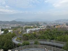 -福道