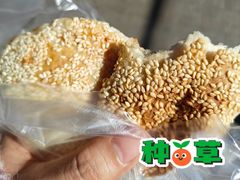 -葑门横街