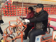 -石家庄市植物园