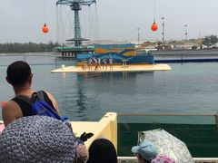 -秦皇岛乐岛海洋王国