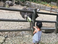 -贵州森林野生动物园