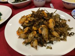 梅干菜油爆虾-老吉士酒家(天平路店)