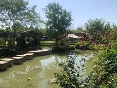 -洪湖家庭农场·团建·露营·会议