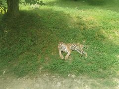 -西安秦岭野生动物园