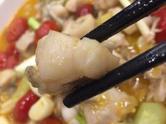 泡椒牛蛙-老鄞江清水龙虾•赵赵家(江北店)