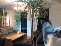 大堂-花十悦·鲜花咖啡餐厅(振业城一期店)