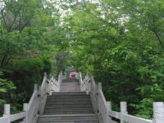 养眼楼旁边的小到-青檀寺景区