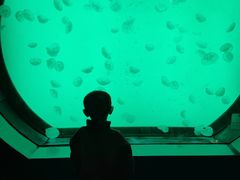 -沈阳海洋探索中心