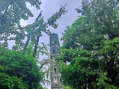 -上海佘山国家森林公园天马山园