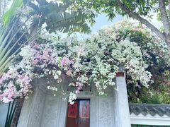 -深圳国际园林花卉博览园