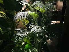 -沐玲珑足道SPA