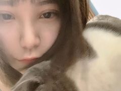 -爱诺动物医院(崂山店)