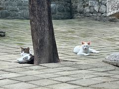 -四门塔风景区