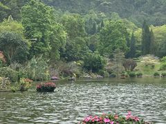 -深圳仙湖植物园