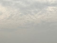 -营口金泰珑悦海景大酒店