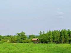 -良渚古城遗址公园