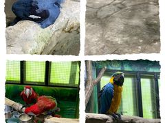 -海合安武汉极地海洋公园