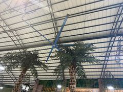 -石岐乳鸽村(南海第三分店)