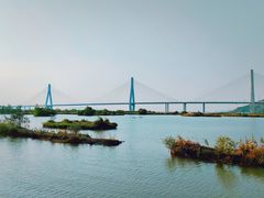-芒洲湿地公园