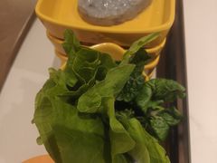 -润园四季椰子鸡火锅(欢乐海岸店)