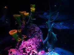 -沈阳海洋探索中心