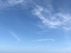 -珊瑚岛