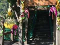 -西双版纳原始森林公园
