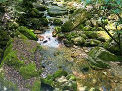 -秦岭终南山世界地质公园翠华山景区