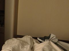 -香港皇家太平洋酒店