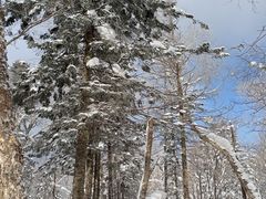 -雪谷