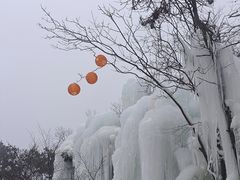 -沂蒙山旅游区云蒙景区(蒙山国家森林公园)