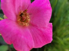 -半天妖烤鱼(芝罘万达店)