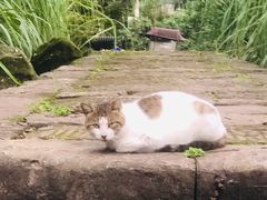 -驿舍·民國老营房院子私房菜(科学会堂店)