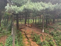 -云南野生动物园