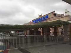 iphone_upload_pic-上海玛雅海滩水公园