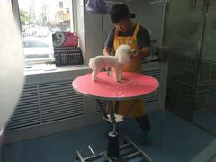 -瑞派宠物医院·24小时骨科·心脏·核磁(哈尔滨南岗店)