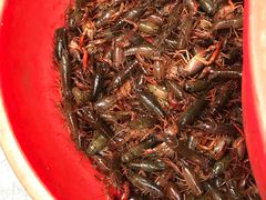 -青石桥市场北1-27号