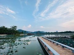 -顺峰山公园