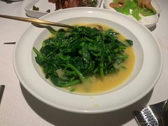 -许家菜(DT51店)