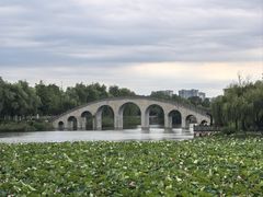 -眉山湿地公园(东坡区)