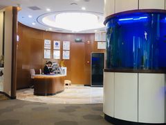 -方津口腔(旺墩路店)