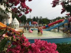 -南宫温泉水世界