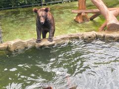 -深圳野生动物园