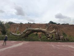 -千姿湖生态旅游景区