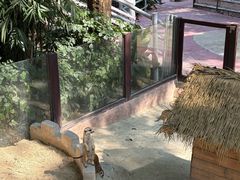 -呀诺达热带雨林